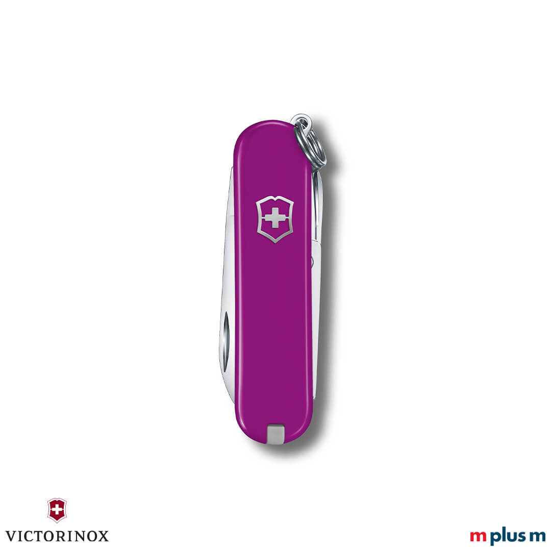 Kleines Schweizer Taschenmesser 'Classic SD Colors' in Lila