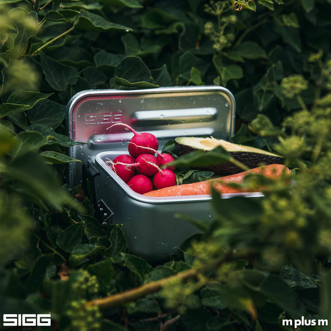SIGG Brotzeitbox aus Aluminium für Schule, Kindergarten, Wandern, Outdoor SIGG Brotzeitbox aus Aluminium für Schule, Kindergarten, Wandern, Outdoor