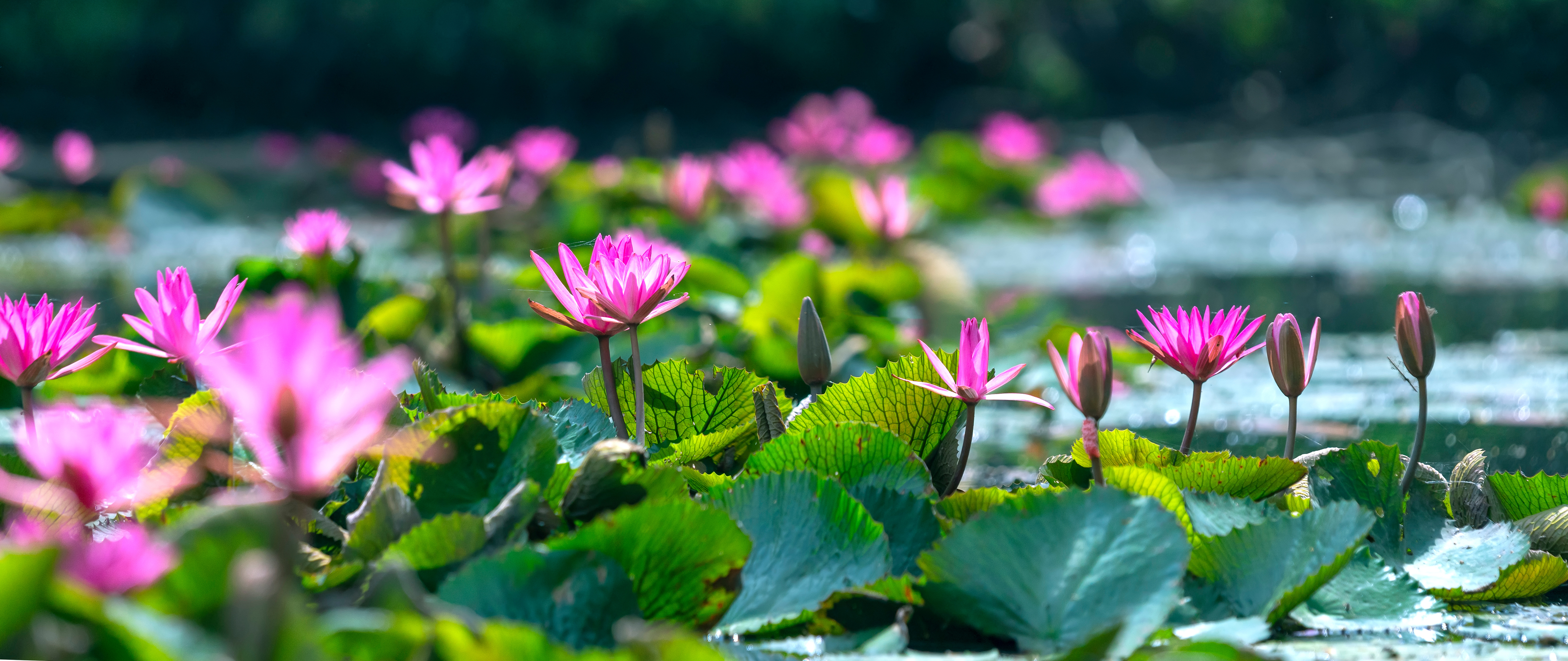 Kontakt zu mplusm Kontakt zu mplusm