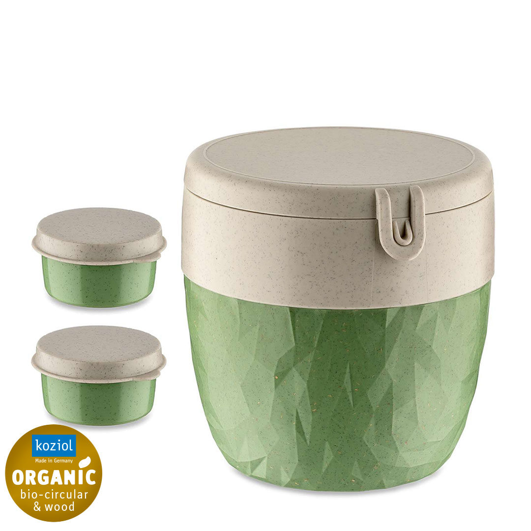 Koziol Bentobox L Lunchbox in der Farbe Grün/Nature Leaf Green